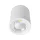 FLCOM LED SPOTLIGHT PRO POVRCHY 30W 230V 4000K 60° BÍLÁ