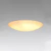 ELDLUX AGARICUS stropní svítidlo 30W CCT bílá